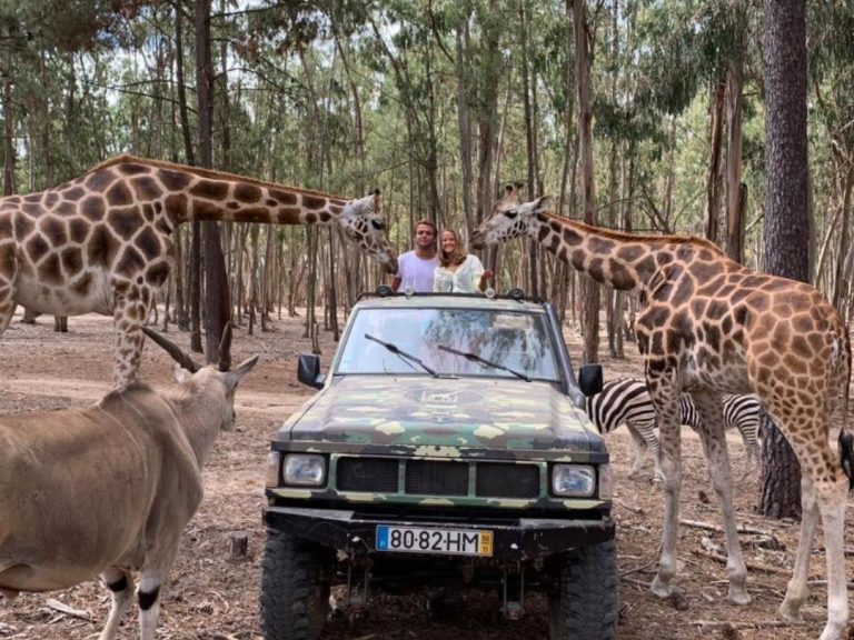 Badoca Safari Park Full Day - Embark on an unforgettable adventure with the Badoca Safari Park Full Day tour in the heart...